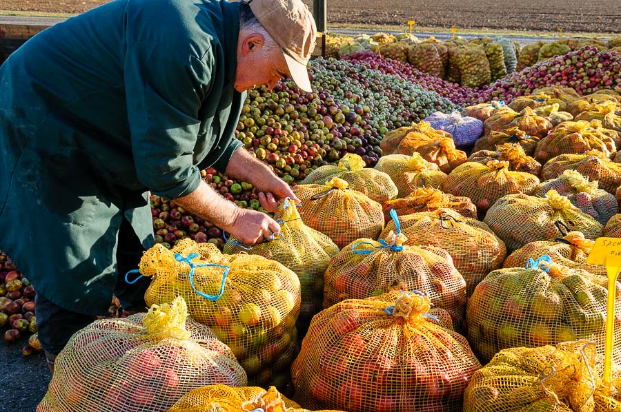 Tas de pommes - Cidrerie Coat-Albret © Pascal Glais