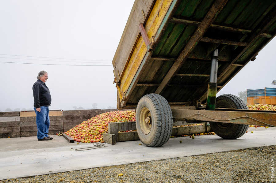 Tracteur fournisseurs de pommes - Cidrerie Coat-Albret © Pascal Glais